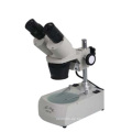 20-40X Stereomikroskop für Studenten Xtd-3b